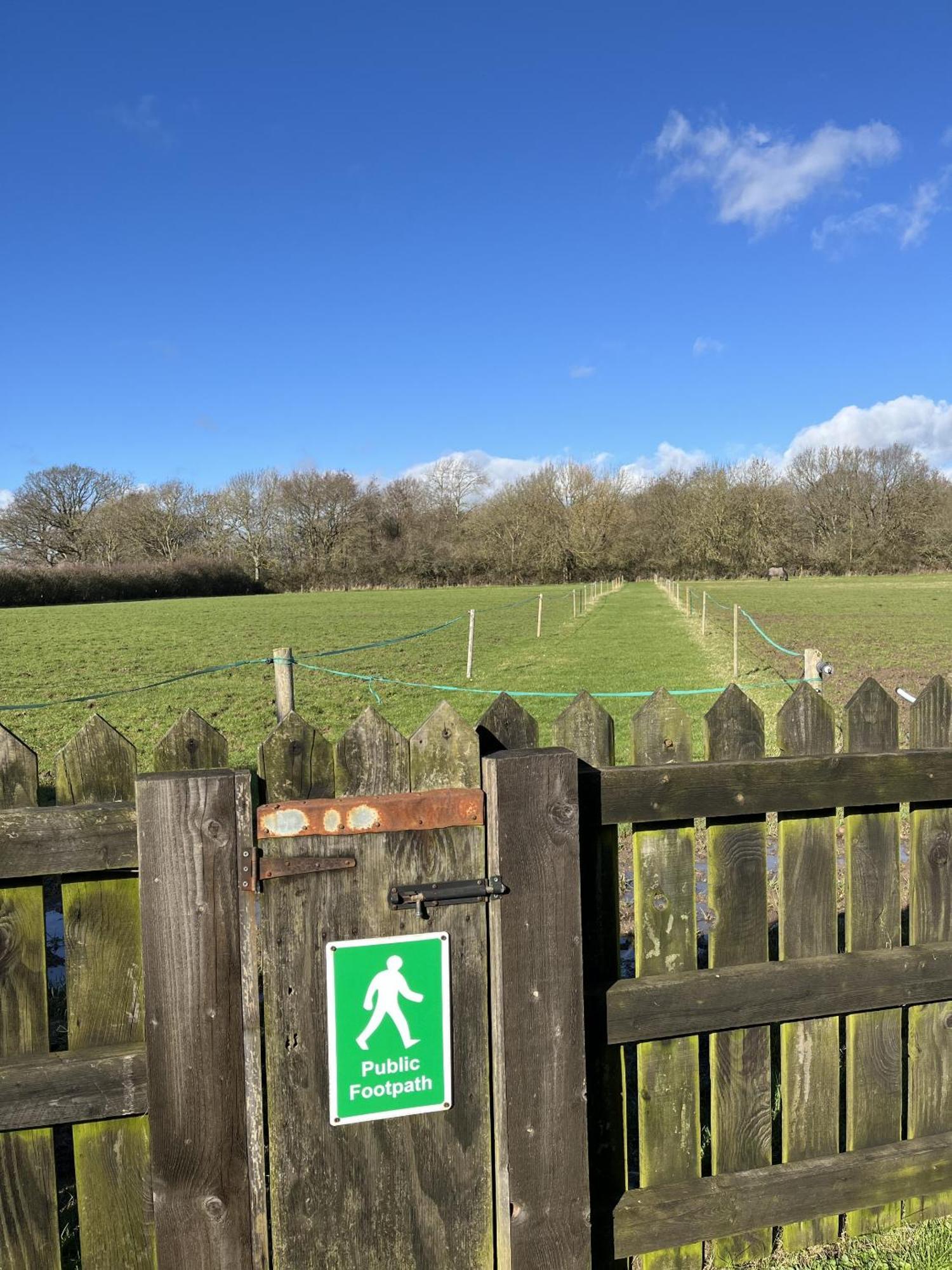 Priors Oak - A Cosy Studio With Countryside Views In Dorset Stalbridge Ngoại thất bức ảnh