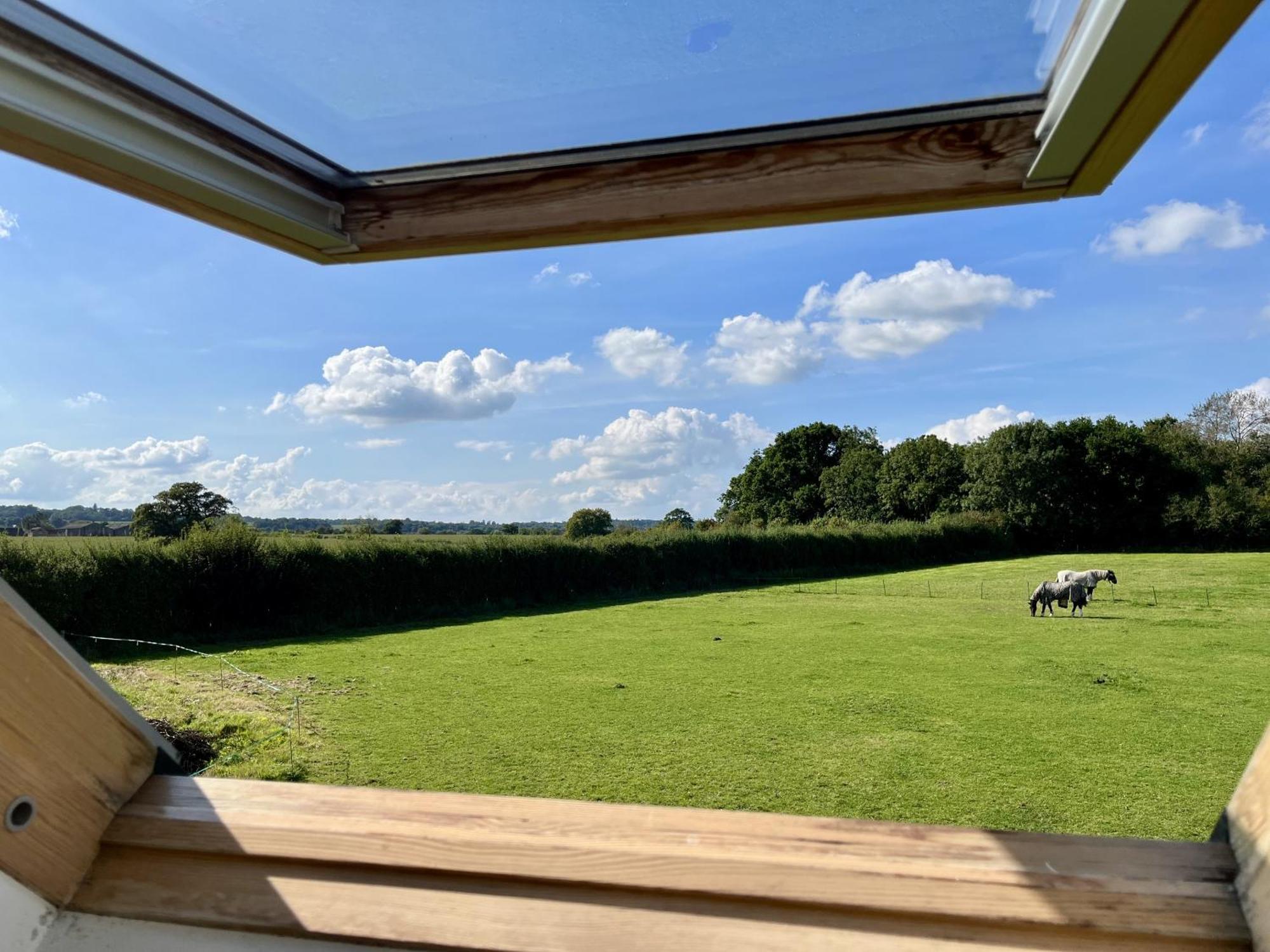 Priors Oak - A Cosy Studio With Countryside Views In Dorset Stalbridge Ngoại thất bức ảnh